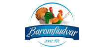 BAROMFIUDVAR 2002 KFT. logo