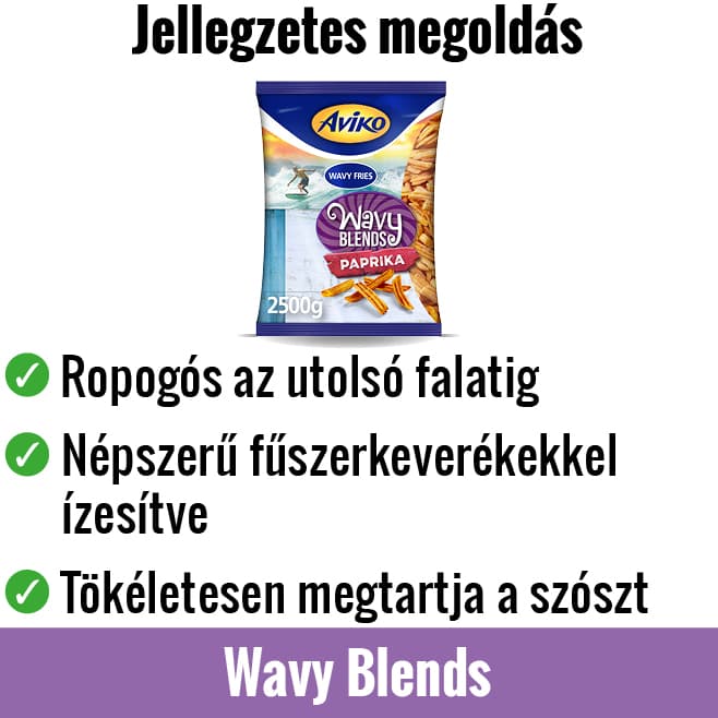 avfs-240194-01_house_of_fries_-_new_concept_-_image_block_-_658x658px2_-_hu