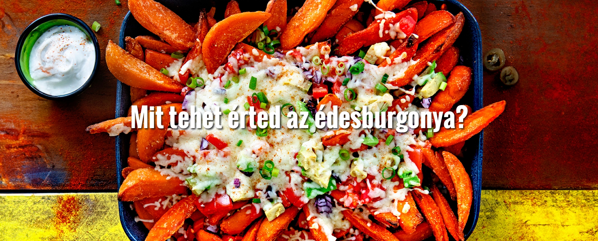 avfs-240192-07_house_of_fries_website_-_fries_improvement_-_concept_page_sweet_potato_-_image_block_-_1095x438px_-_hu.jpg