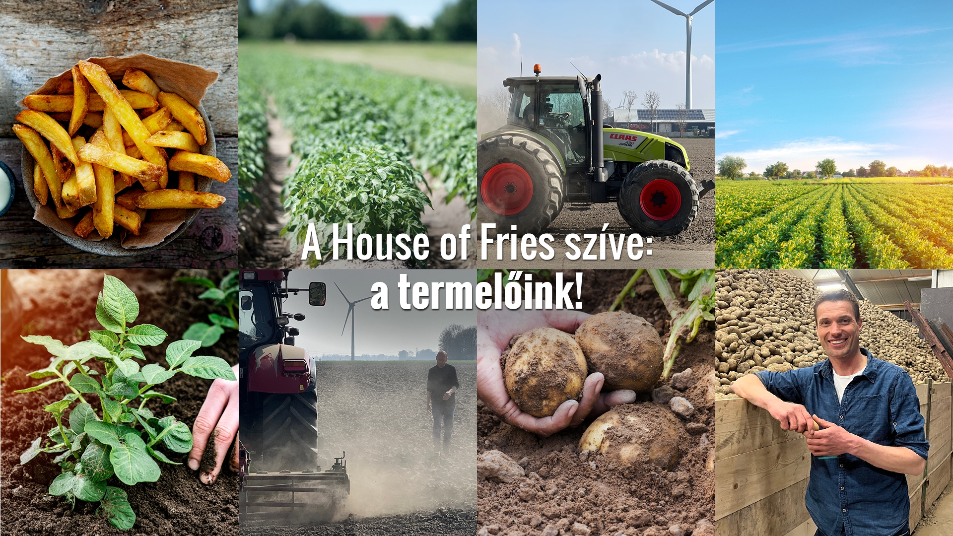 avfs-240195-01_house_of_fries_website_-_new_horizons_-_our_growers_page_-_header_-_1920x1080_-_hu.jpg